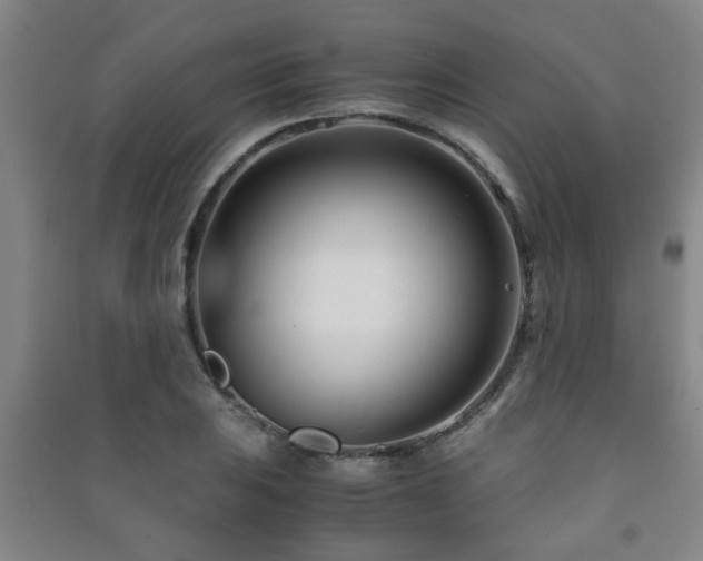 X0000091451031200708161254
