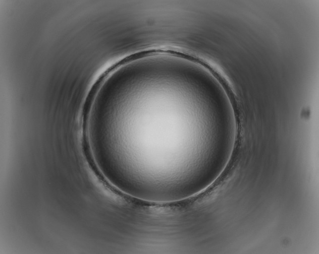 X0000091451032200708161254