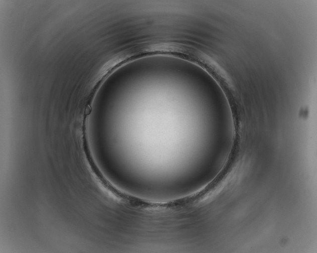 X0000091451033200708161254