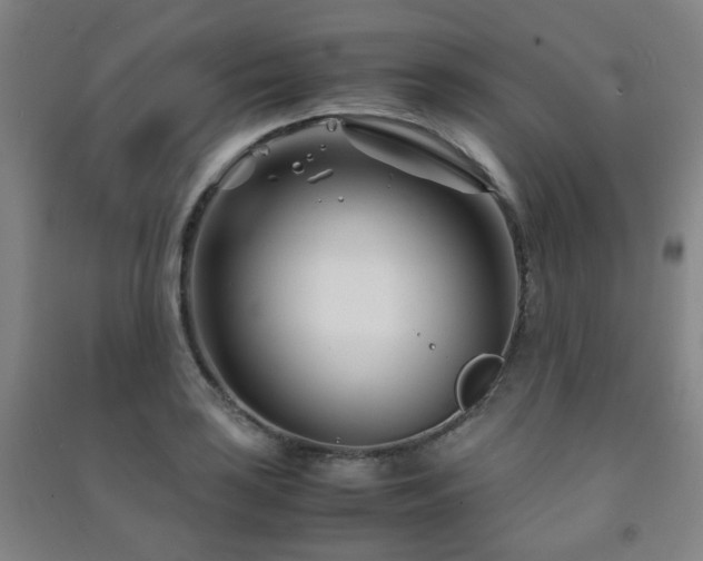 X0000091451035200708161254