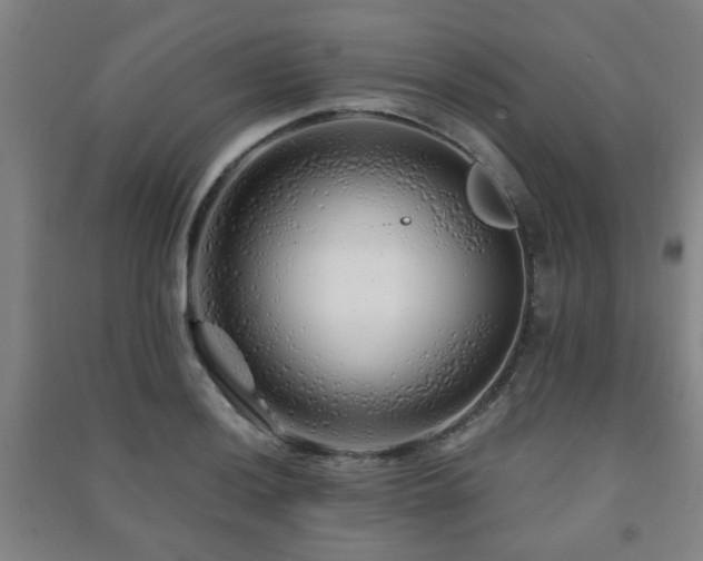 X0000091451036200708161254
