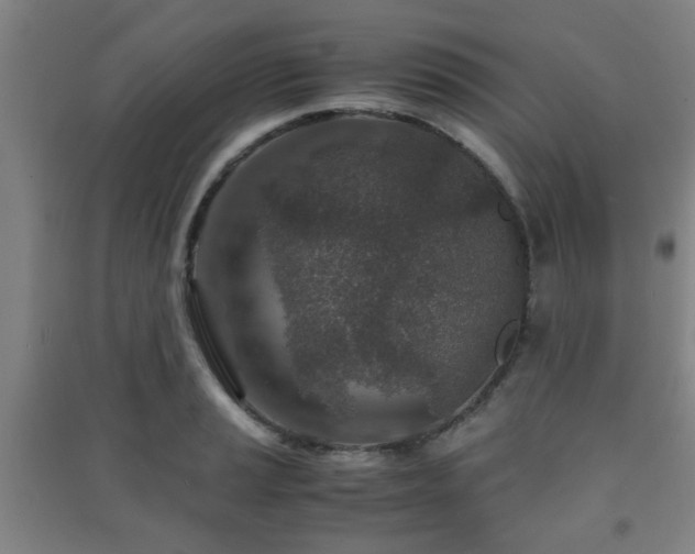 X0000091451037200708161254