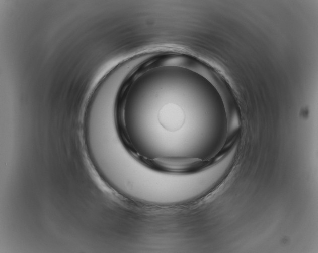 X0000091451038200708161254