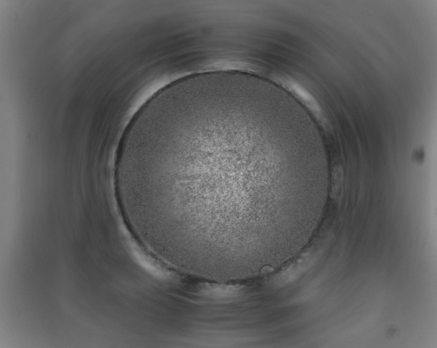 X0000091451039200708161254