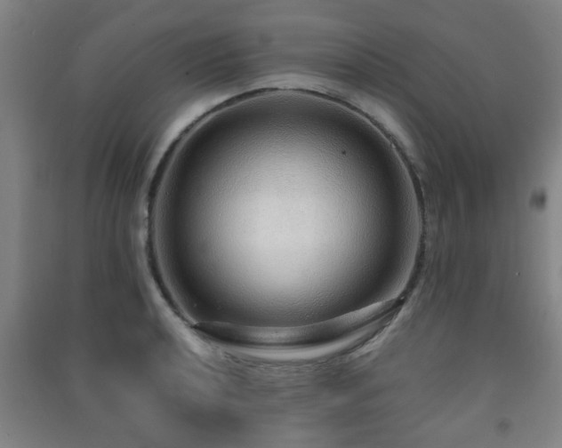 X0000091451040200708161254