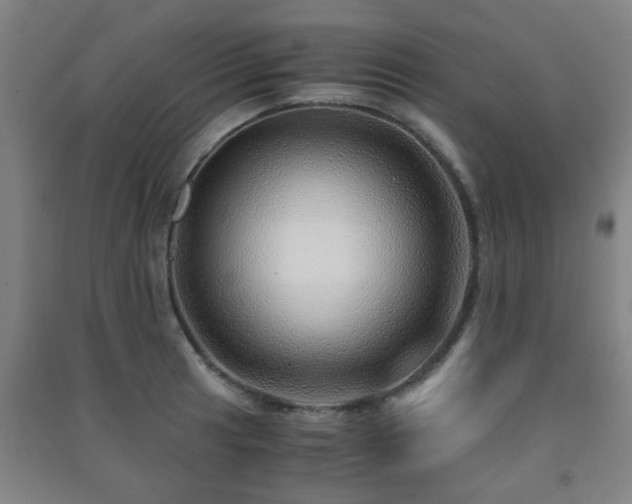 X0000091451041200708161254