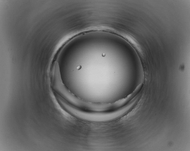 X0000091451046200708161254