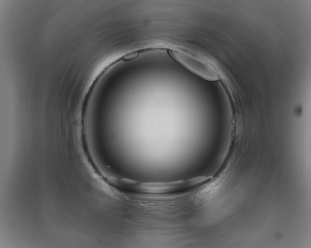 X0000091451048200708161254