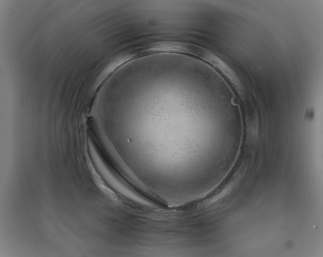 X0000091451049200708161254