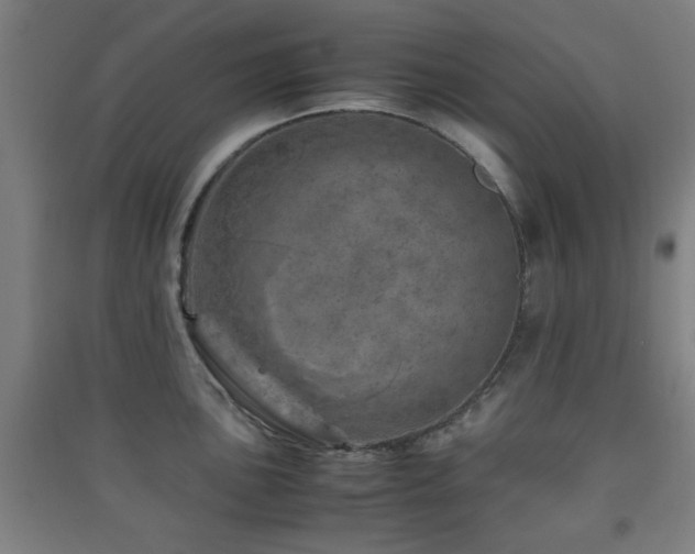 X0000091451051200708161254
