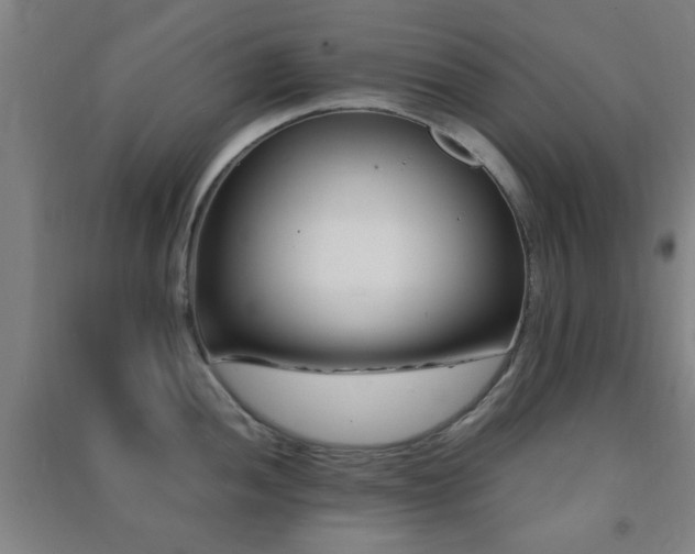 X0000091451052200708161254