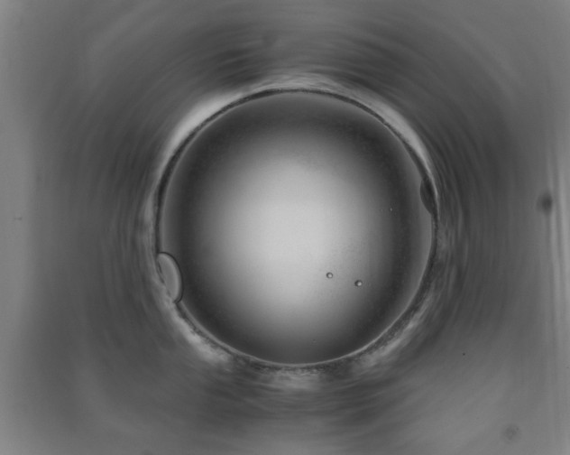 X0000091451053200708161254