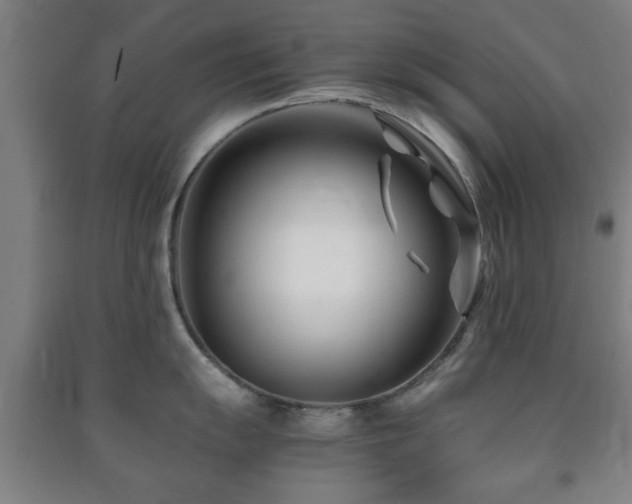 X0000091451055200708161254