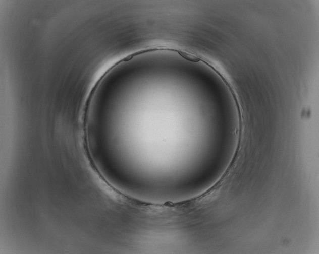 X0000091451056200708161254