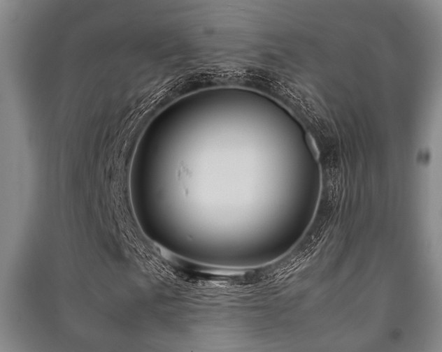 X0000091451057200708161254