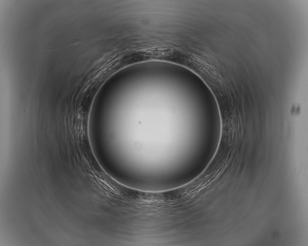 X0000091451058200708161254
