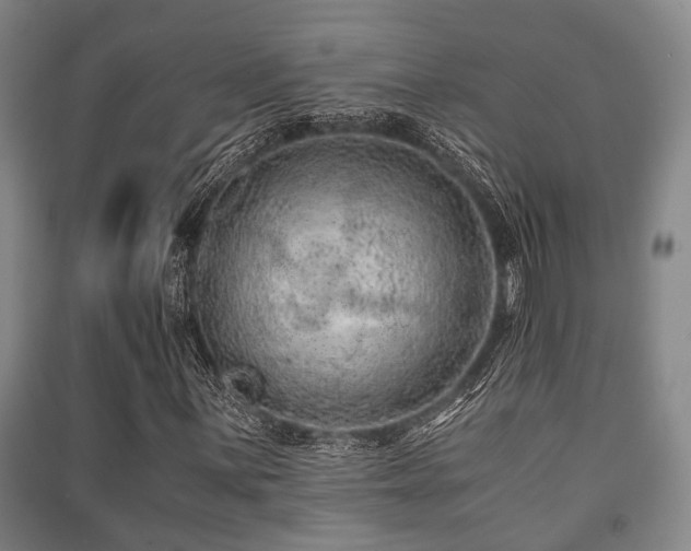 X0000091451059200708161254
