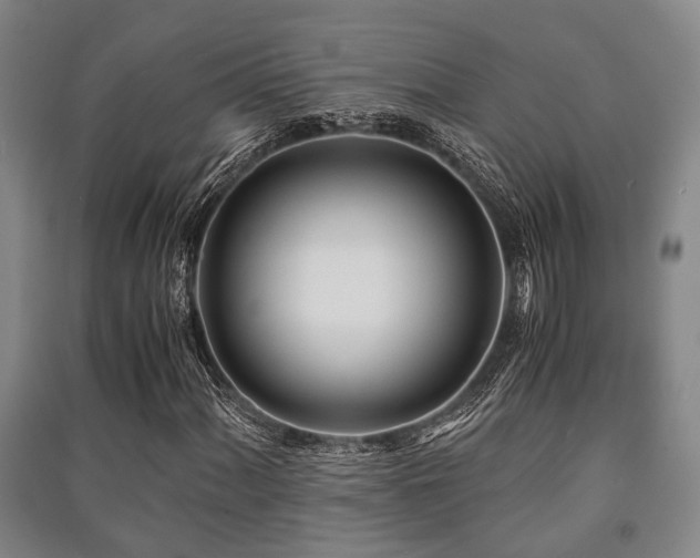 X0000091451060200708161254