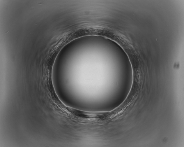 X0000091451061200708161254