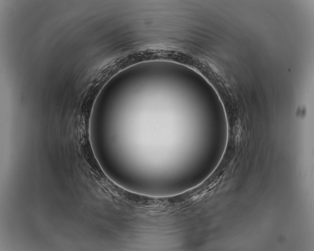 X0000091451062200708161254