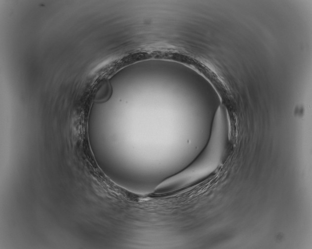 X0000091451063200708161254