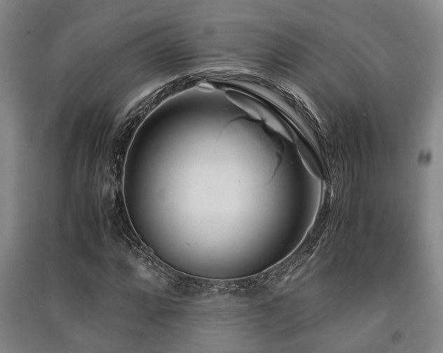 X0000091451064200708161253