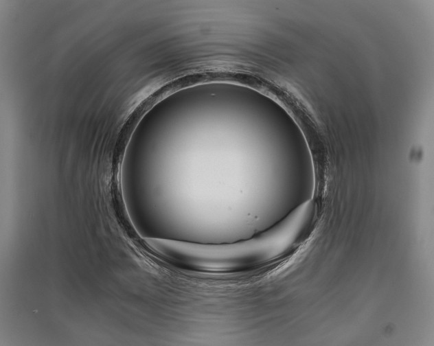 X0000091451065200708161253