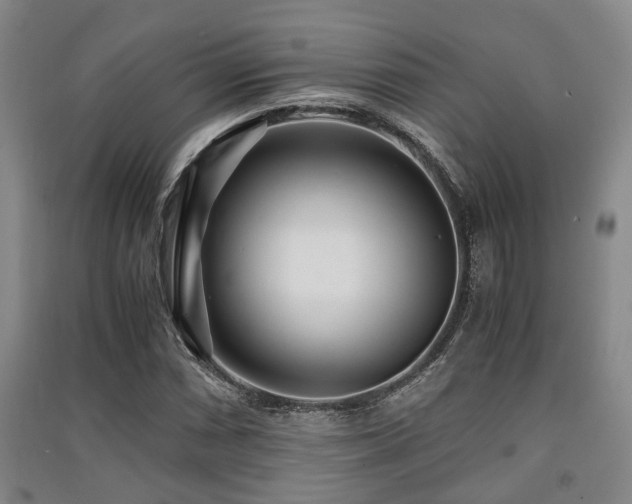 X0000091451066200708161253
