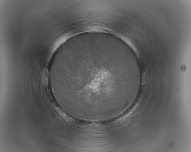 X0000091451067200708161253