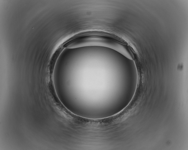X0000091451069200708161253