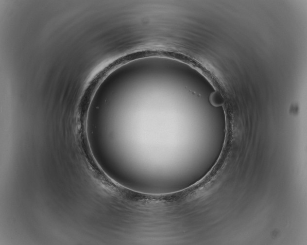 X0000091451070200708161253
