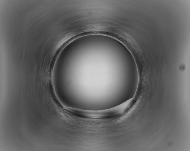 X0000091451073200708161253