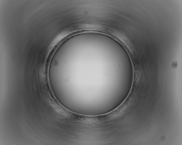 X0000091451074200708161253