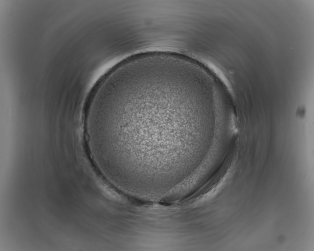 X0000091451077200708161253