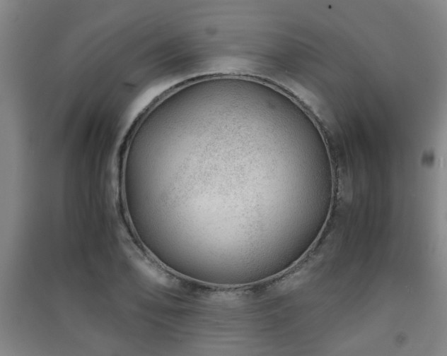X0000091451078200708161253