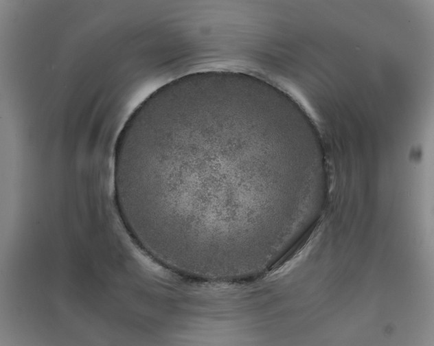 X0000091451079200708161253
