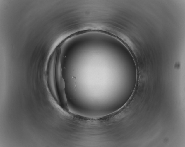 X0000091451080200708161253