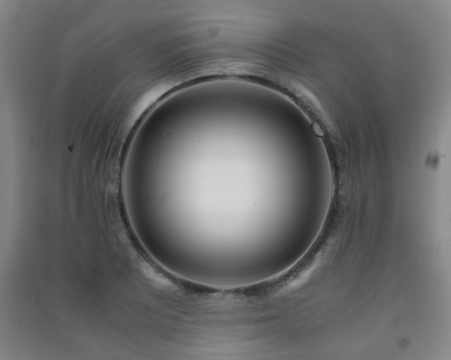 X0000091451081200708161253