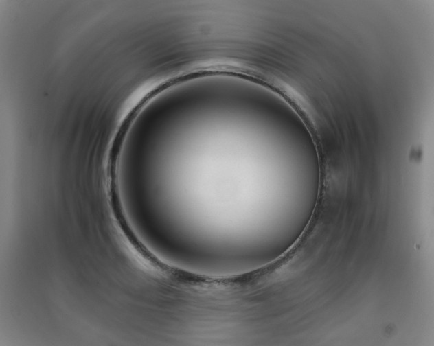 X0000091451082200708161253