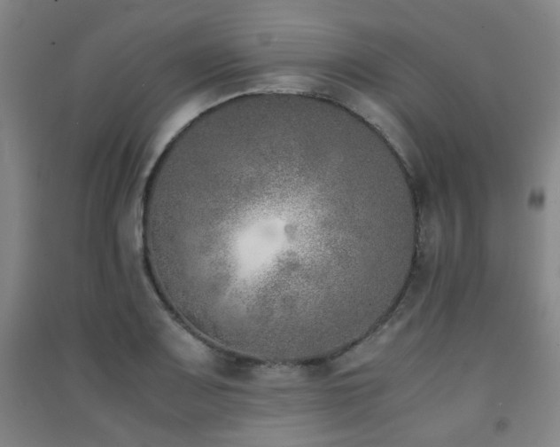 X0000091451083200708161253