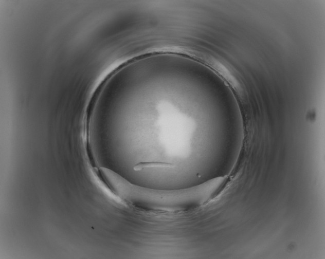 X0000091451084200708161253