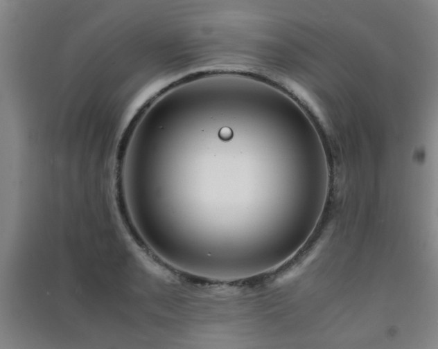 X0000091451085200708161253