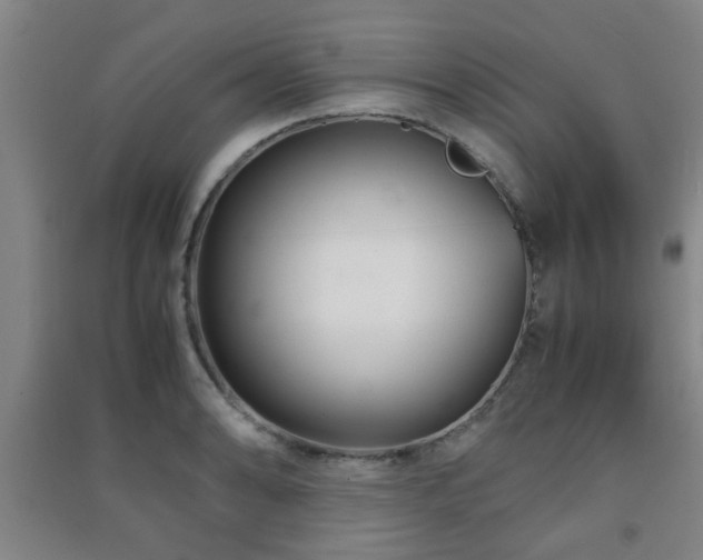 X0000091451086200708161253