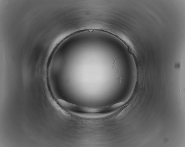 X0000091451088200708161253