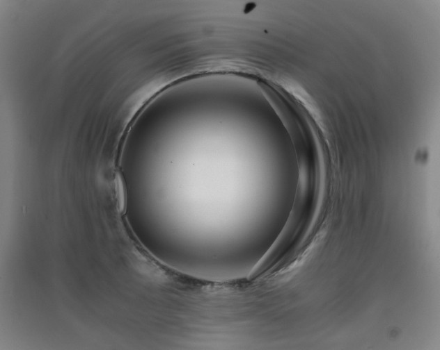 X0000091451089200708161253