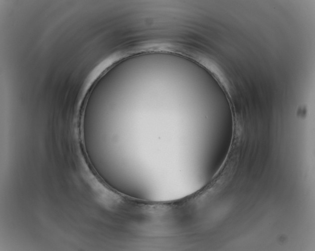 X0000091451090200708161253
