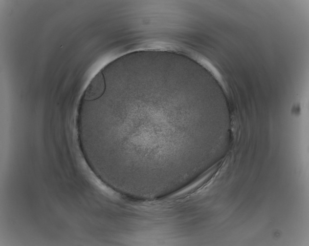 X0000091451091200708161253