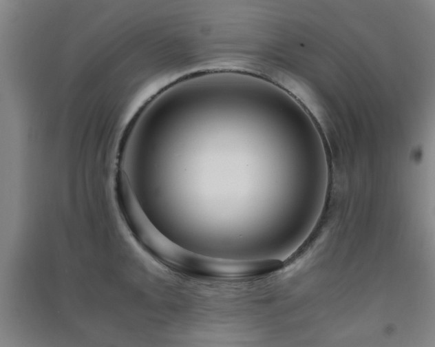 X0000091451093200708161253