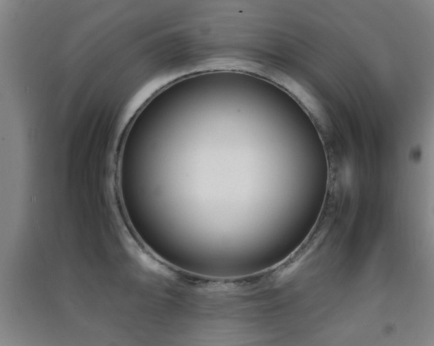 X0000091451094200708161253