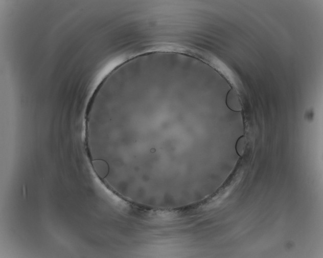 X0000091451095200708161253